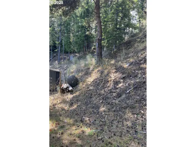 a picture of a room with a bench and trees