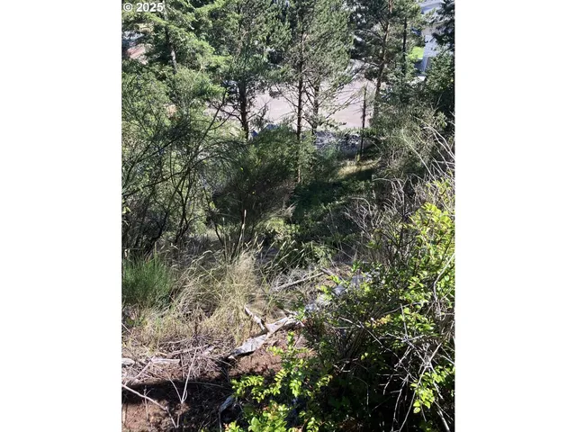 a view of a tree in a yard