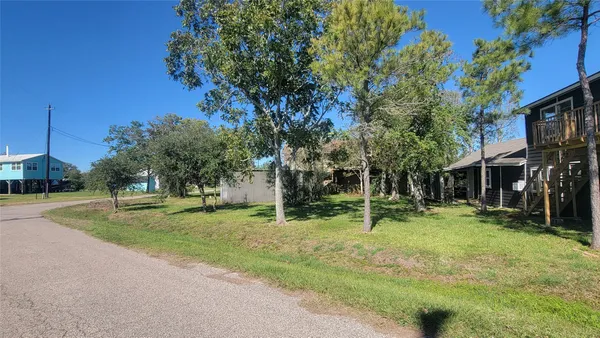 a garden with trees in front of it