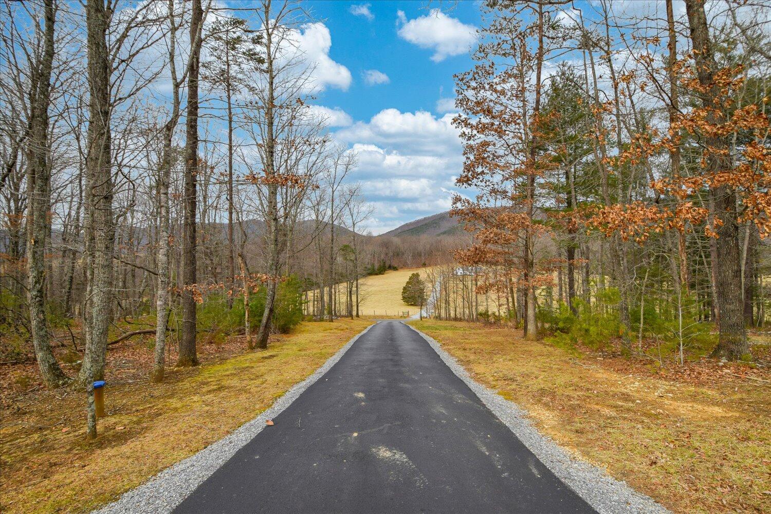 5515 Breckinridge Mill Road Fincastle, VA 24090 - Photo 27 of 31 a view of a pathway with a wrought fence