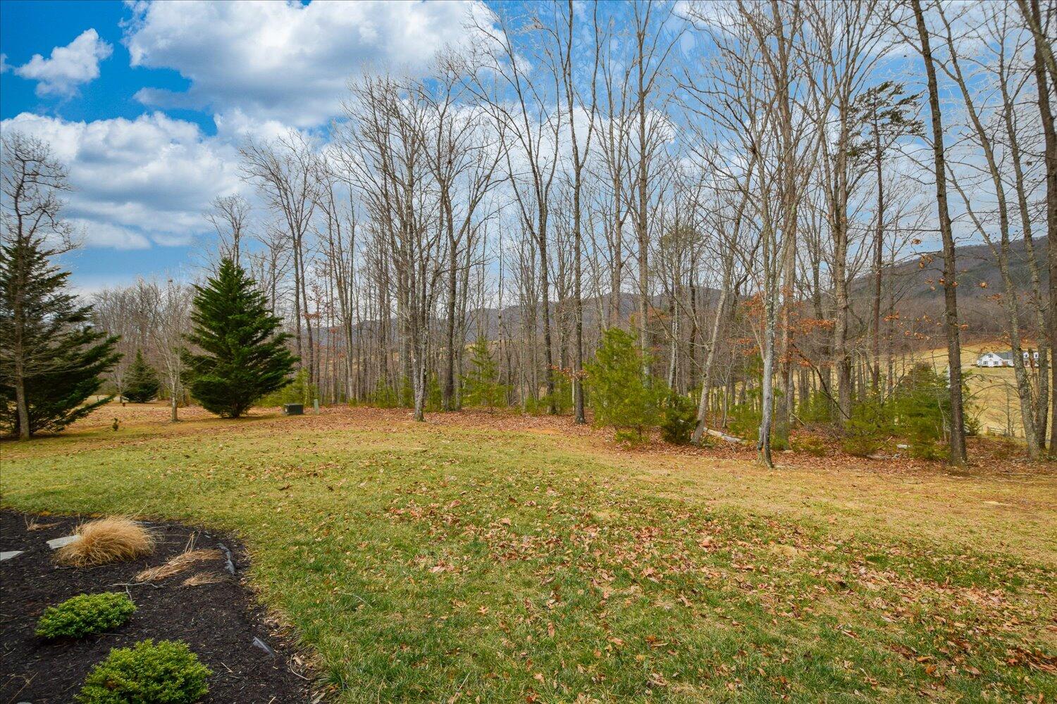 5515 Breckinridge Mill Road Fincastle, VA 24090 - Photo 28 of 31 a backyard of a house with lots of green space and trees