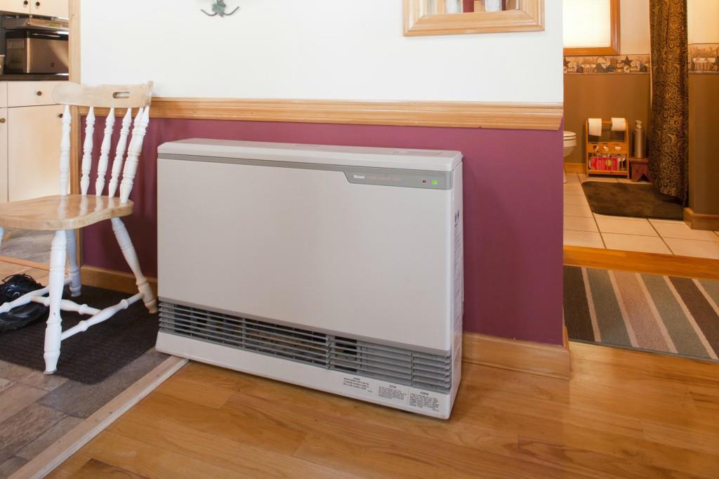 494 Springy Pond Road Ellsworth, ME 04605 - Photo 24 of 34 Central back up heat by Runnai gas...