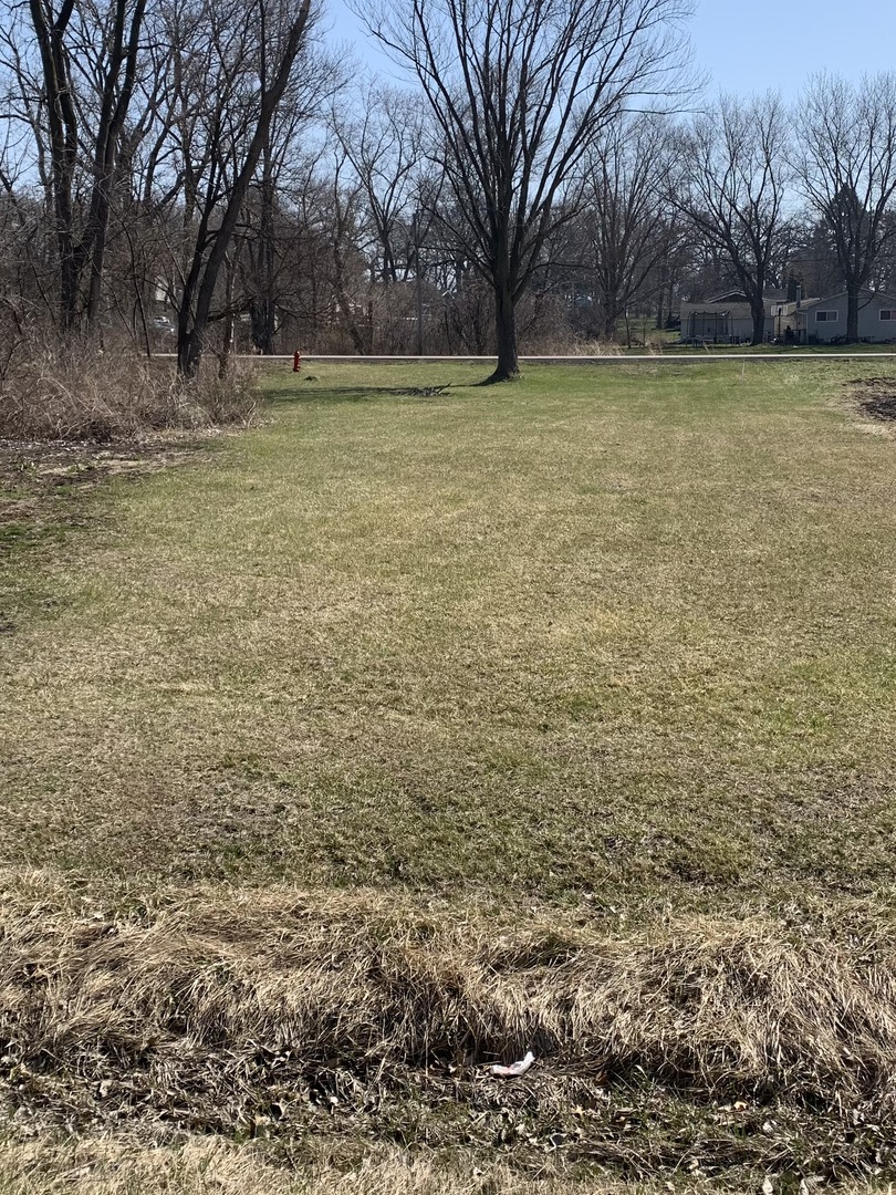 Lots 020-021 Westmoor Dr Wonder Lake Road Wonder Lake, IL 60097 - Photo 1 of 4 a view of a yard