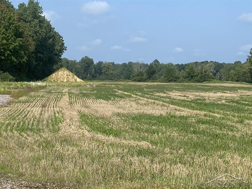 Vl North Meridian Road Hope, MI 48628 - Photo 1 of 7