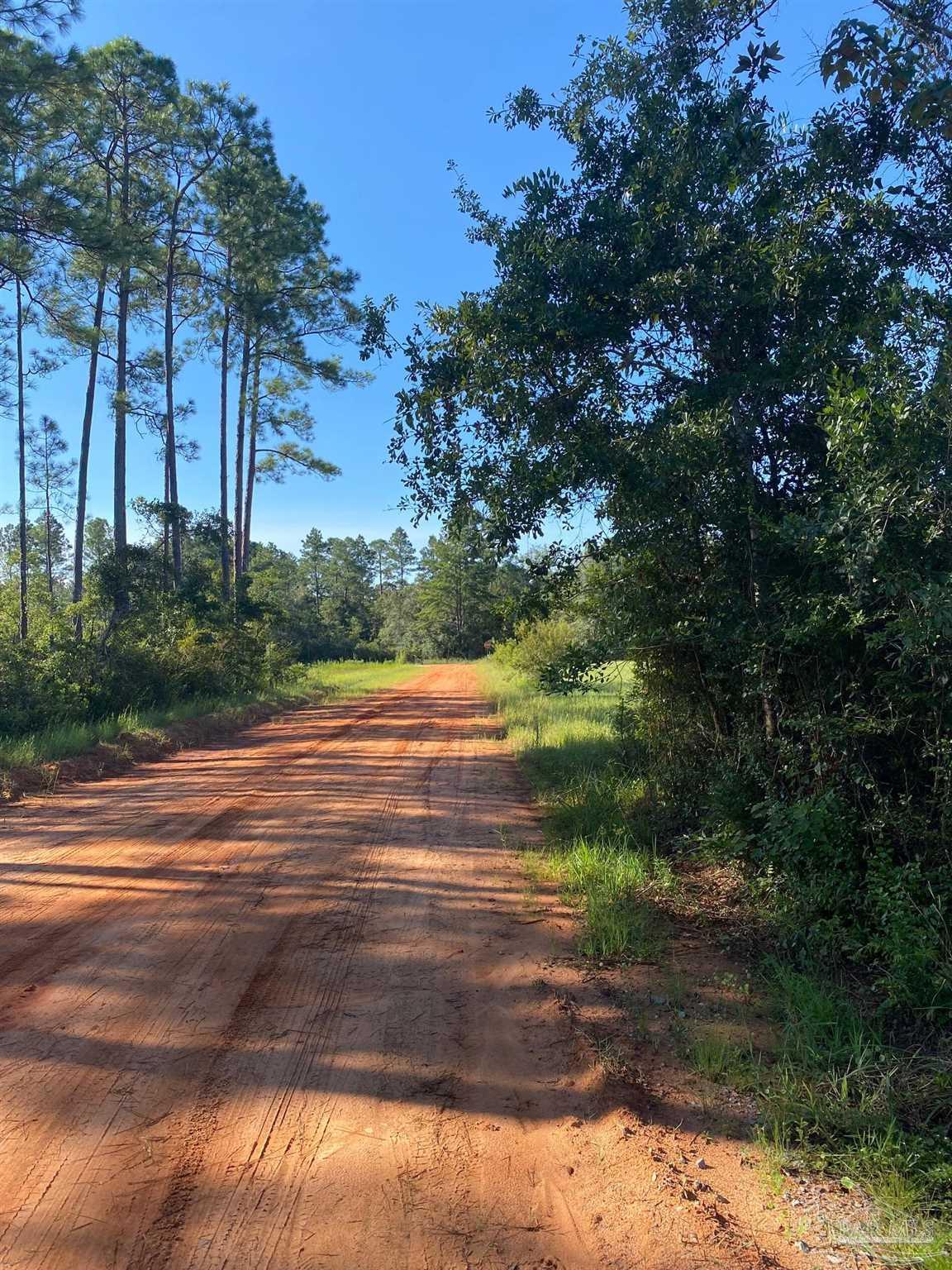 7099 Richard Lane Road Milton, FL 32583 - Photo 12 of 15 Gallery Image 12