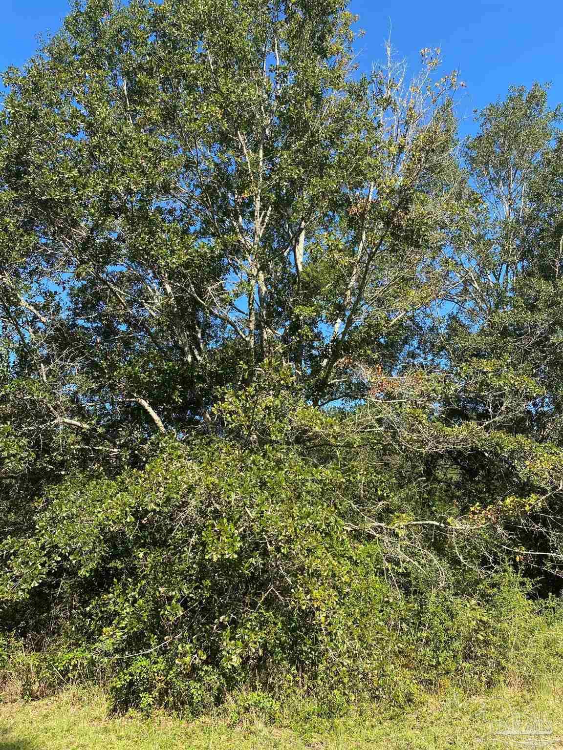 7099 Richard Lane Road Milton, FL 32583 - Photo 8 of 15 Gallery Image 8