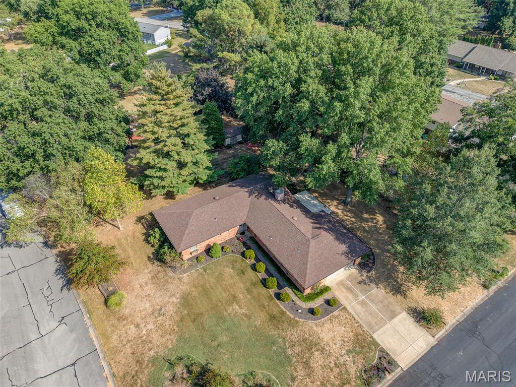 304 Country Club Drive Red Bud, IL 62278 - Photo 6 of 42