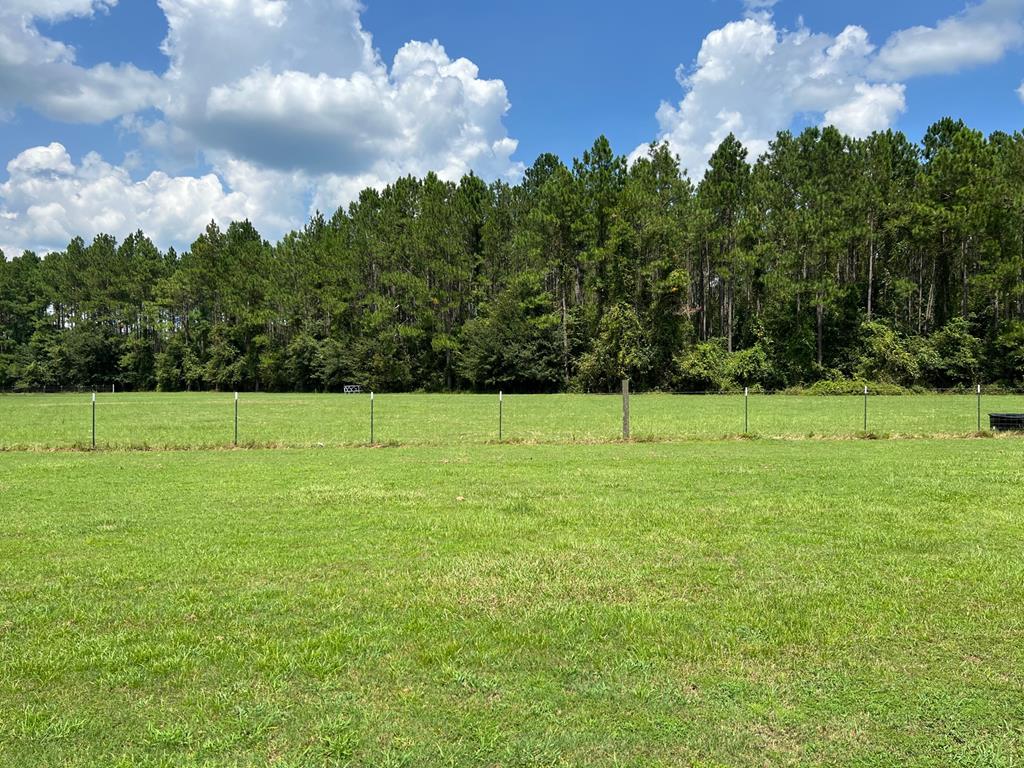 326 Lee Road Ray City, GA 31645 - Photo 29 of 60 Gallery Image 29