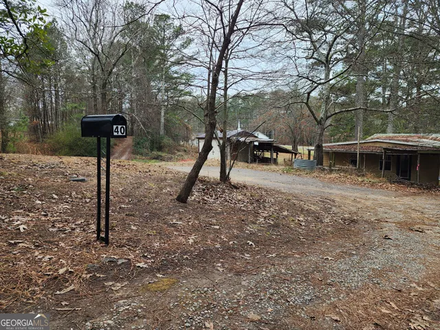 a view of a park with a bench and trees