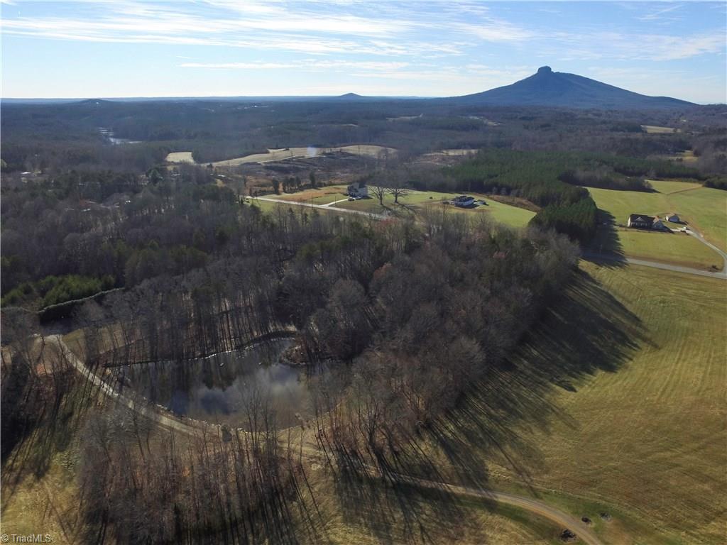 2320 High Bridge Road Pinnacle, NC 27043 - Photo 3 of 30
