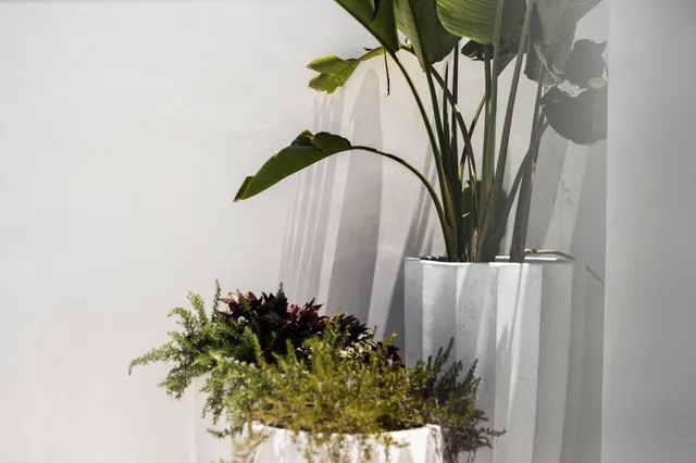 $13,000,000 | 8276 East County Highway 30A, Inlet Beach, FL 32461