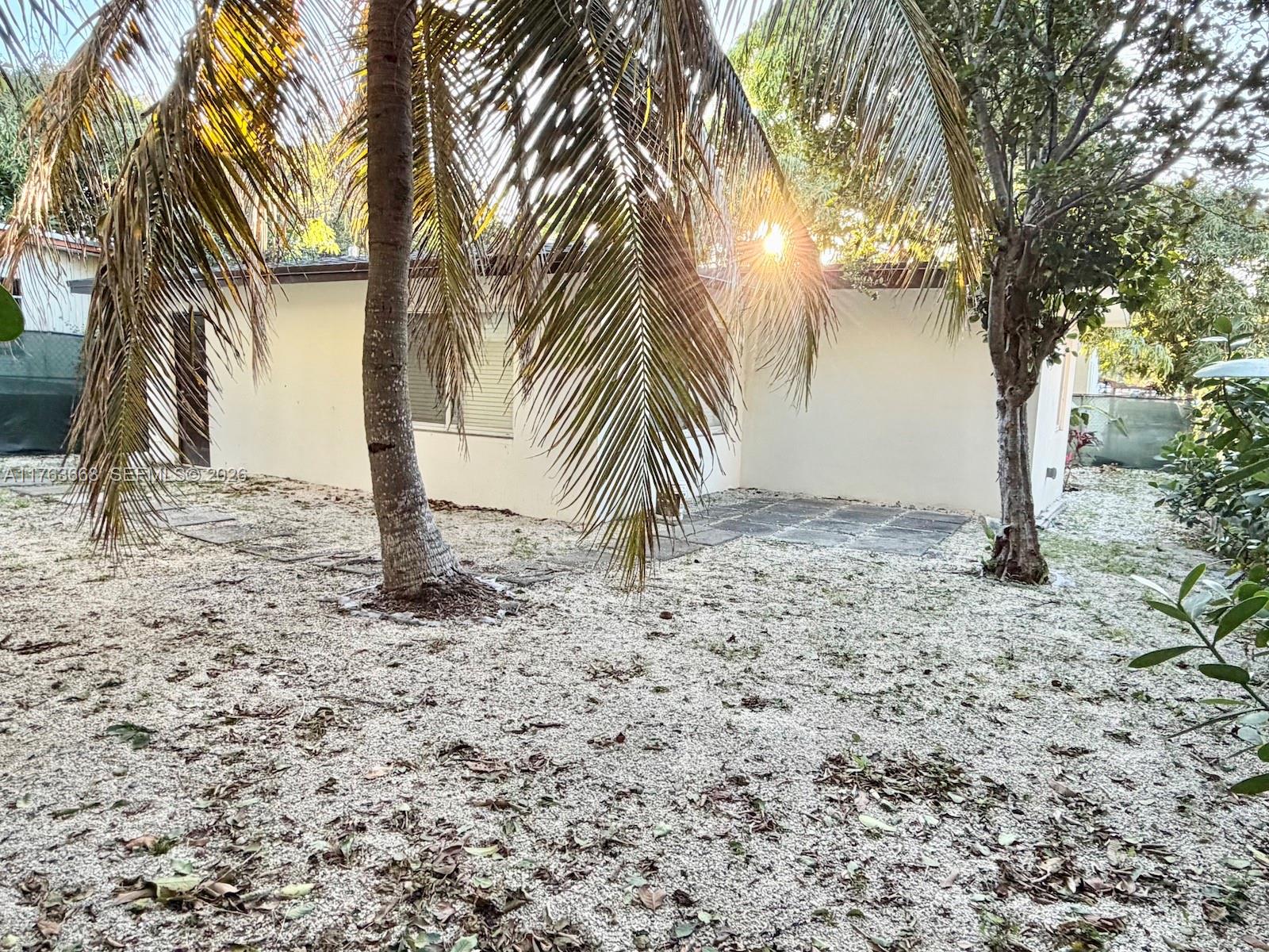 929 Southwest 12th Avenue Miami, FL 33130 - Photo 20 of 38 a view of a yard with a tree