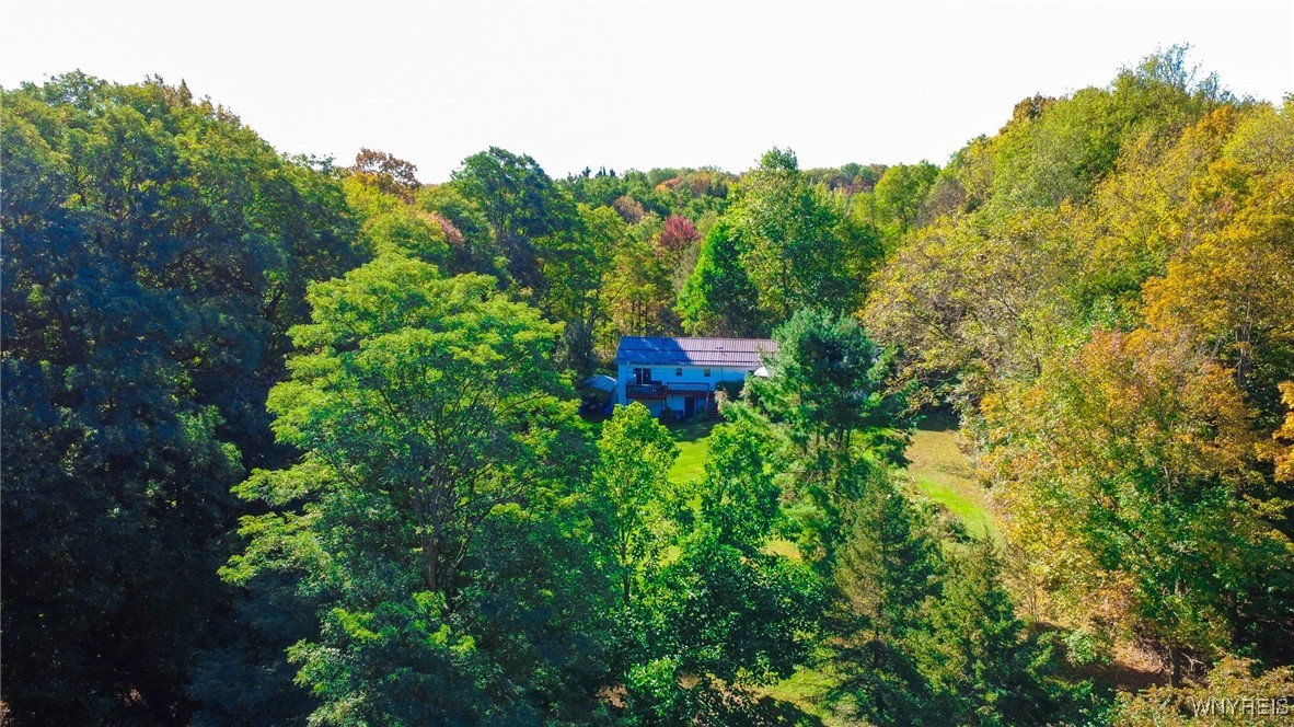 2245 Thomas Road Sheldon, NY 14167 - Photo 4 of 39