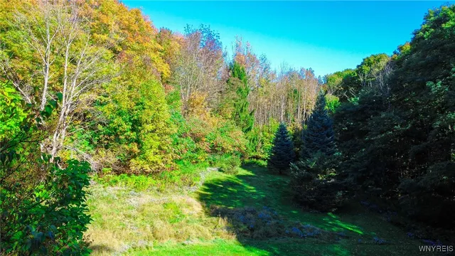 $300,000 | 2245 Thomas Road, Sheldon, NY 14167