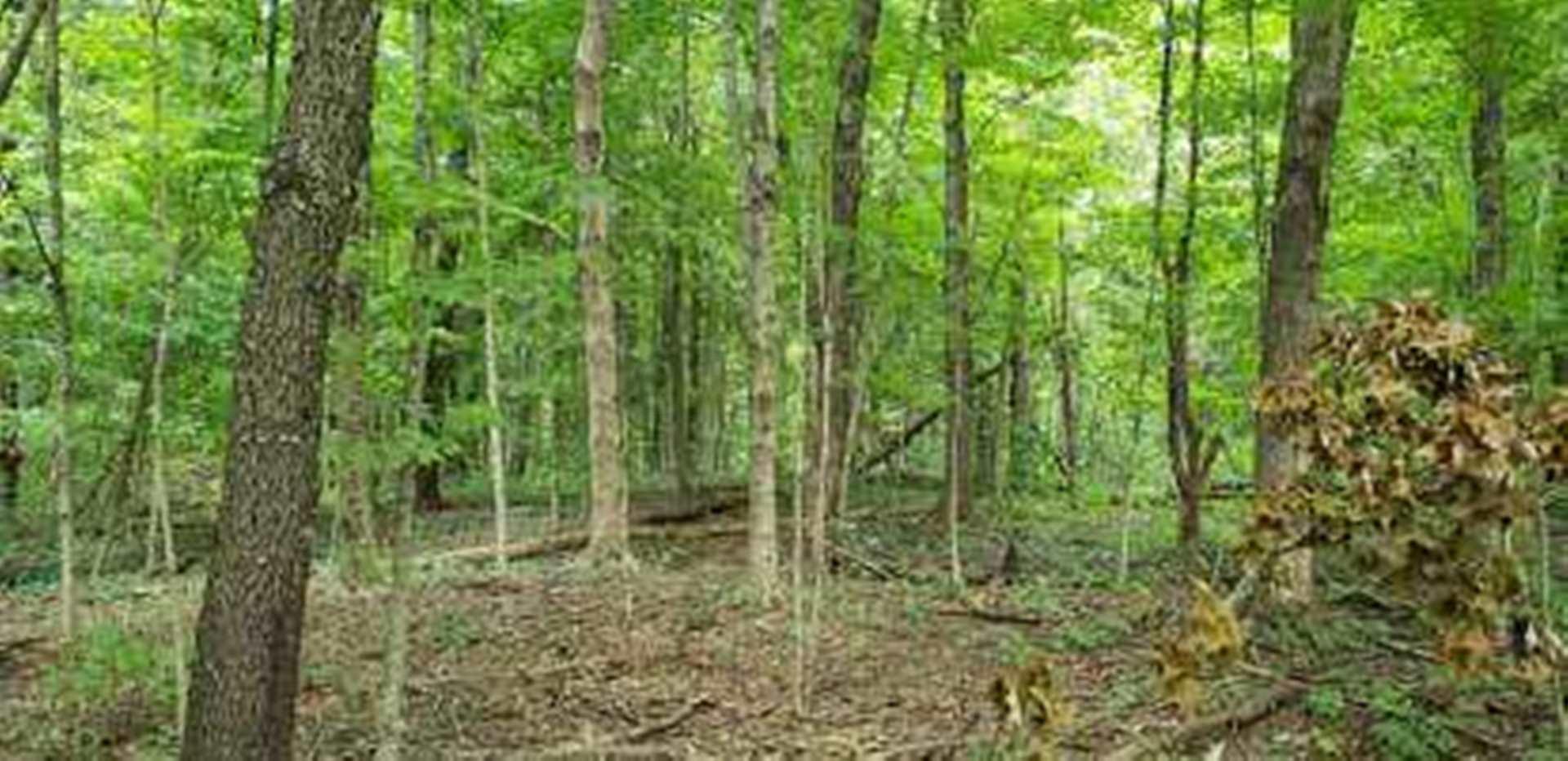 0 Reynolds Road Newark, OH 43055 - Photo 4 of 8 Gallery Image 4