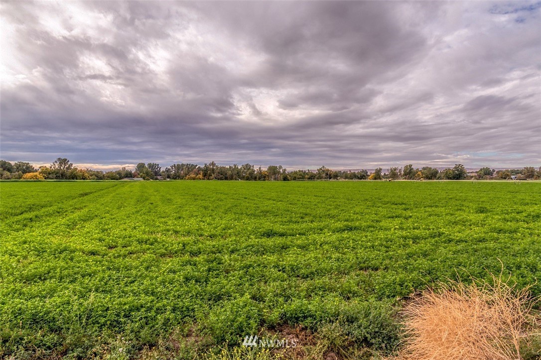 270 Bussell Road Walla Walla, WA 99362 - Photo 6 of 31