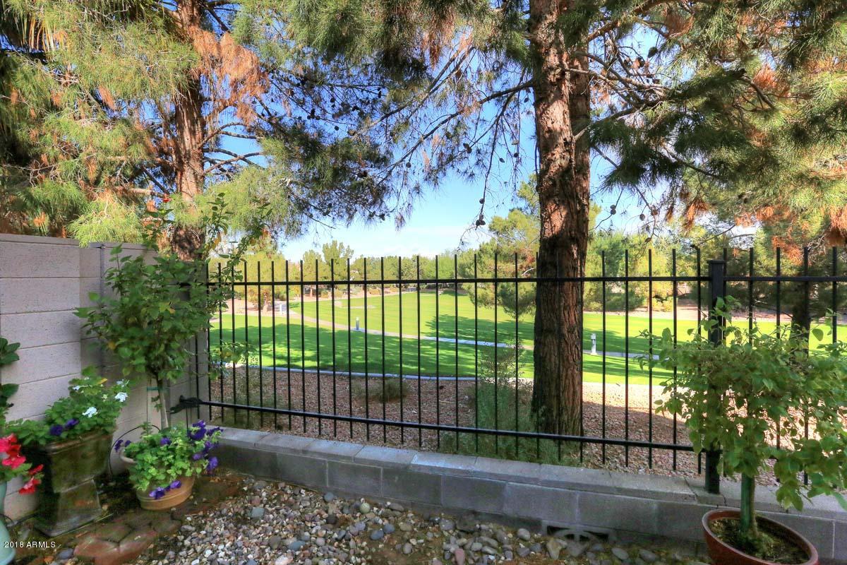 3234 East Fremont Road Phoenix, AZ 85042 - Photo 12 of 17 Backyard-View
