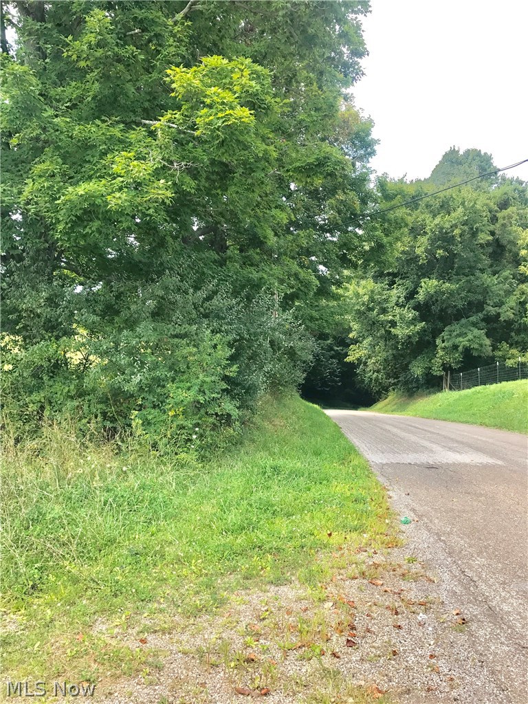 Manuel Road Racine, OH 45771 - Photo 4 of 4