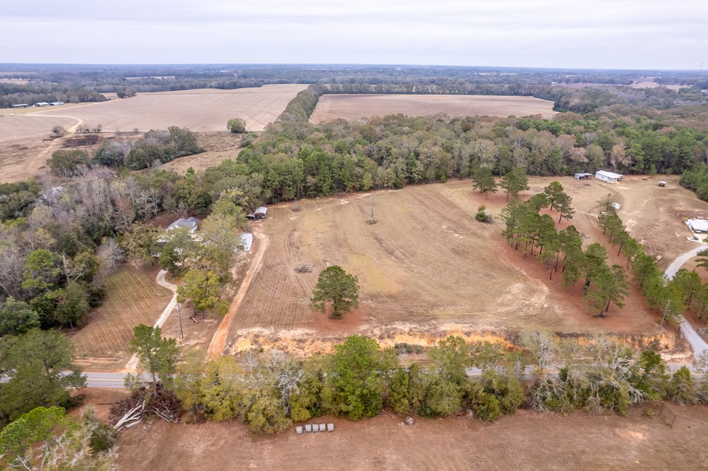 1638 Goose Hollow Road Geneva, AL 36340 - Photo 68 of 74