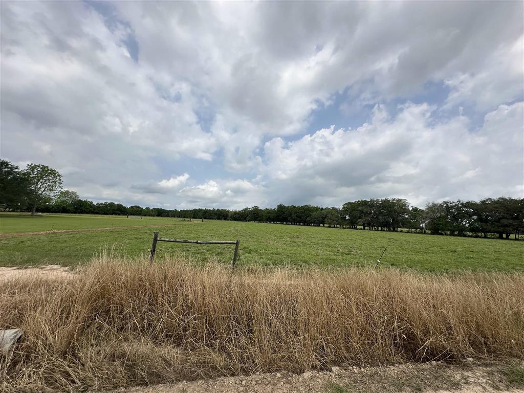 Tbd Howard Road Iota, LA 70543 - Photo 3 of 3