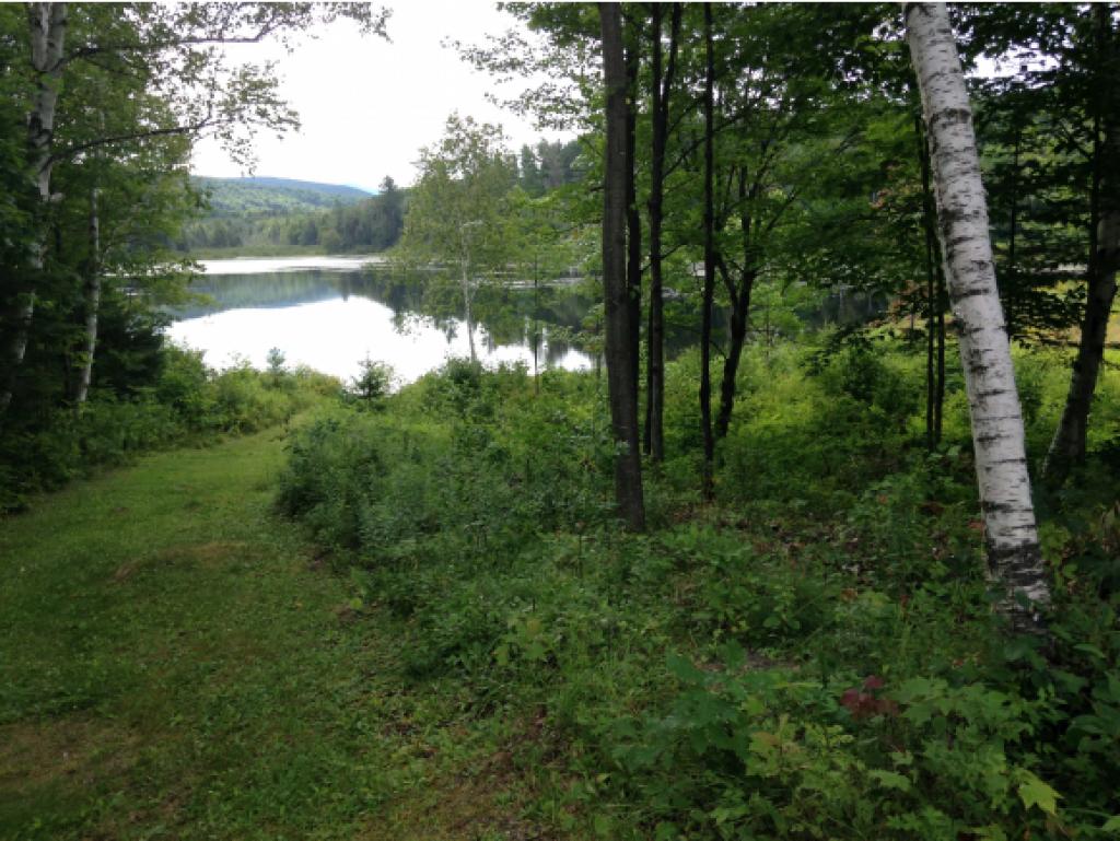 0 Gale Chandler Road Landaff, NH 03585 - Photo 5 of 6 Gallery Image 5