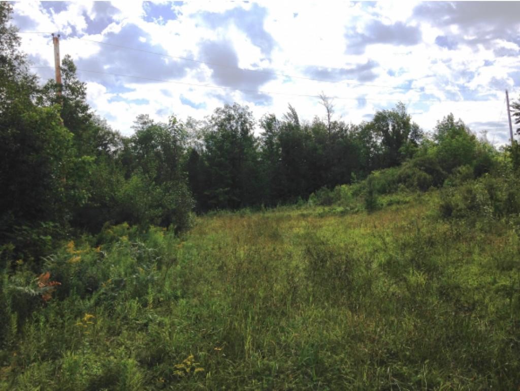 0 Gale Chandler Road Landaff, NH 03585 - Photo 6 of 6 Gallery Image 6