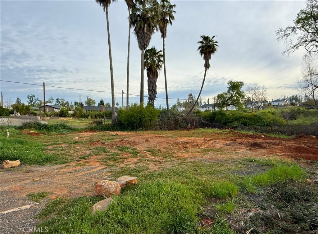 5556 Foster Road Paradise, CA 95969 - Photo 12 of 18 a view of a field with an ocean