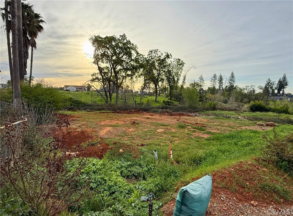 5556 Foster Road Paradise, CA 95969 - Photo 9 of 18 a view of a grassy field with trees in the background