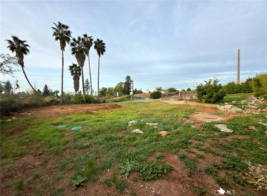 5556 Foster Road Paradise, CA 95969 - Photo 10 of 18 a view of a yard with an trees