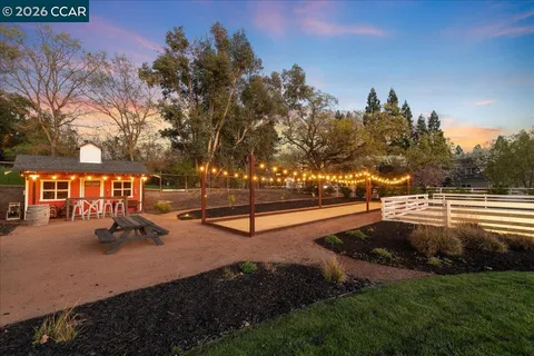 a view of a patio with couches chairs and a potted plant