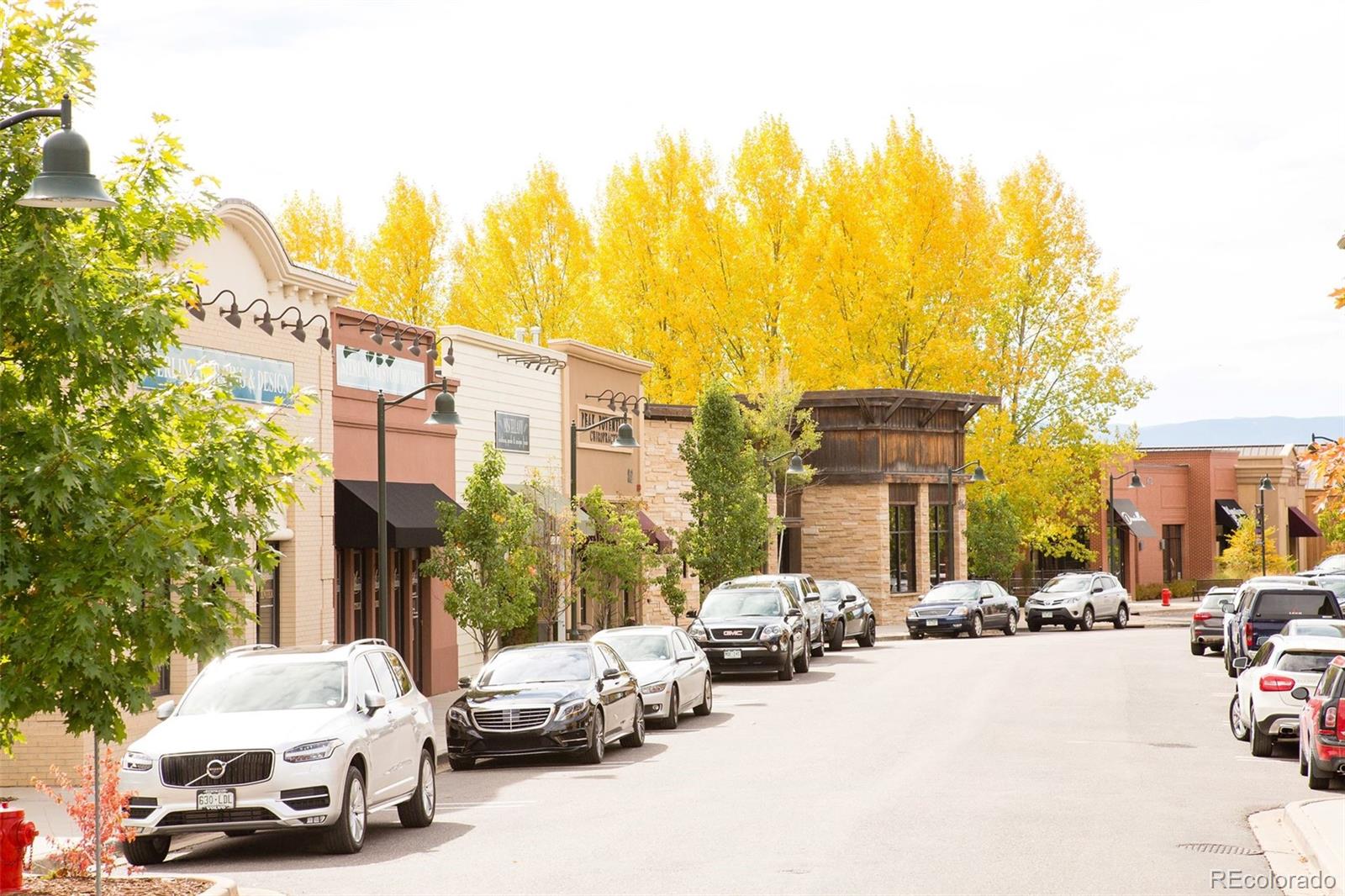 7203 Bedlam Drive Castle Pines, CO 80108 - Photo 39 of 39 a car parked on the side of a street