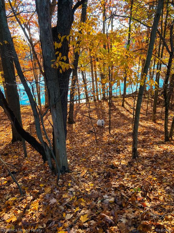 0 Fish Lake Road Holly, MI 48442 - Photo 6 of 17