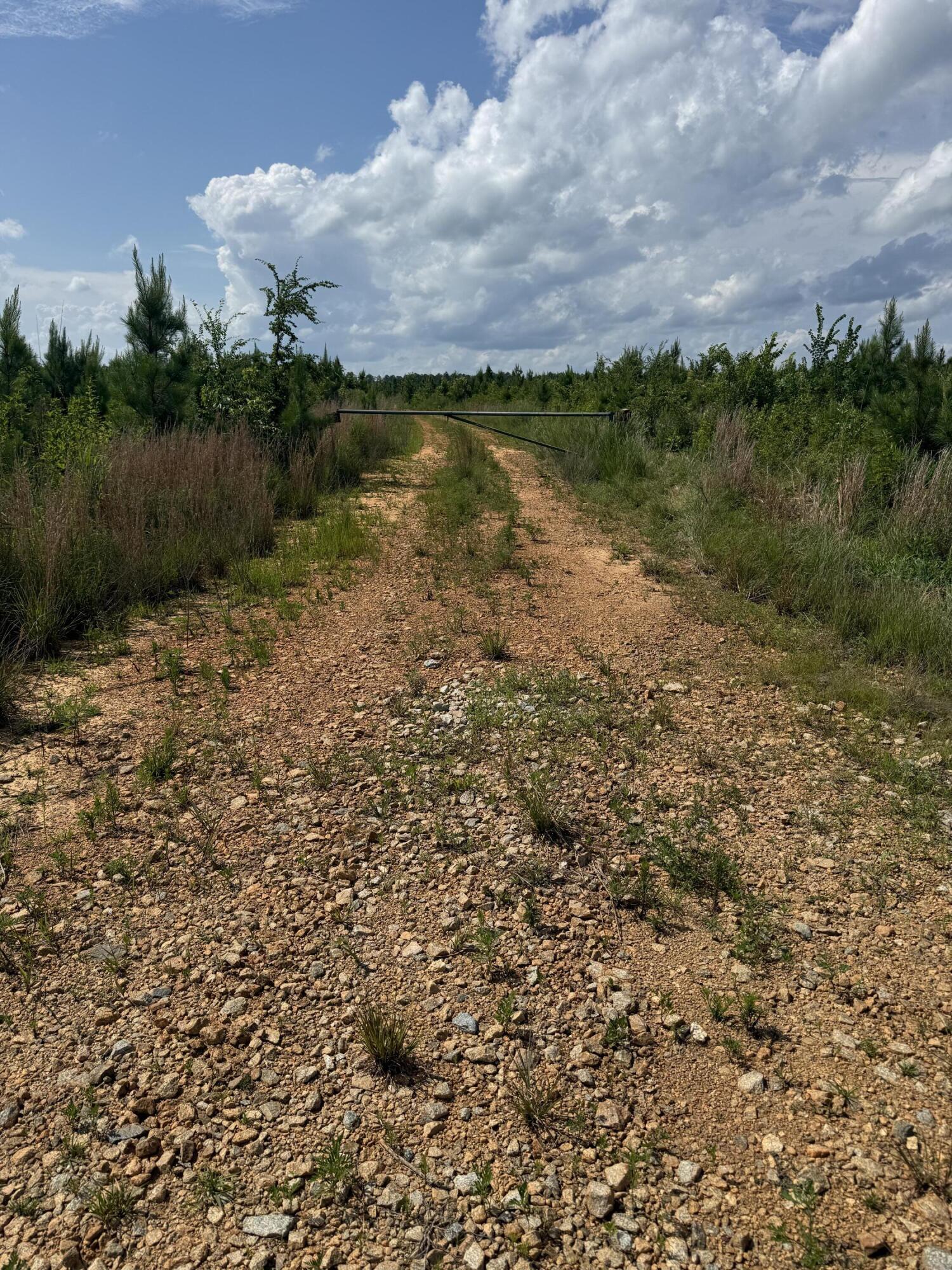 Tbd Tbd Us-378 McCormick, SC 29835 - Photo 15 of 15