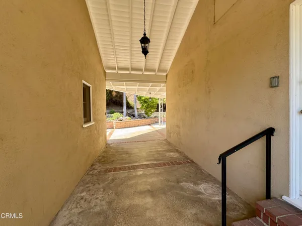 a view of a park with plants