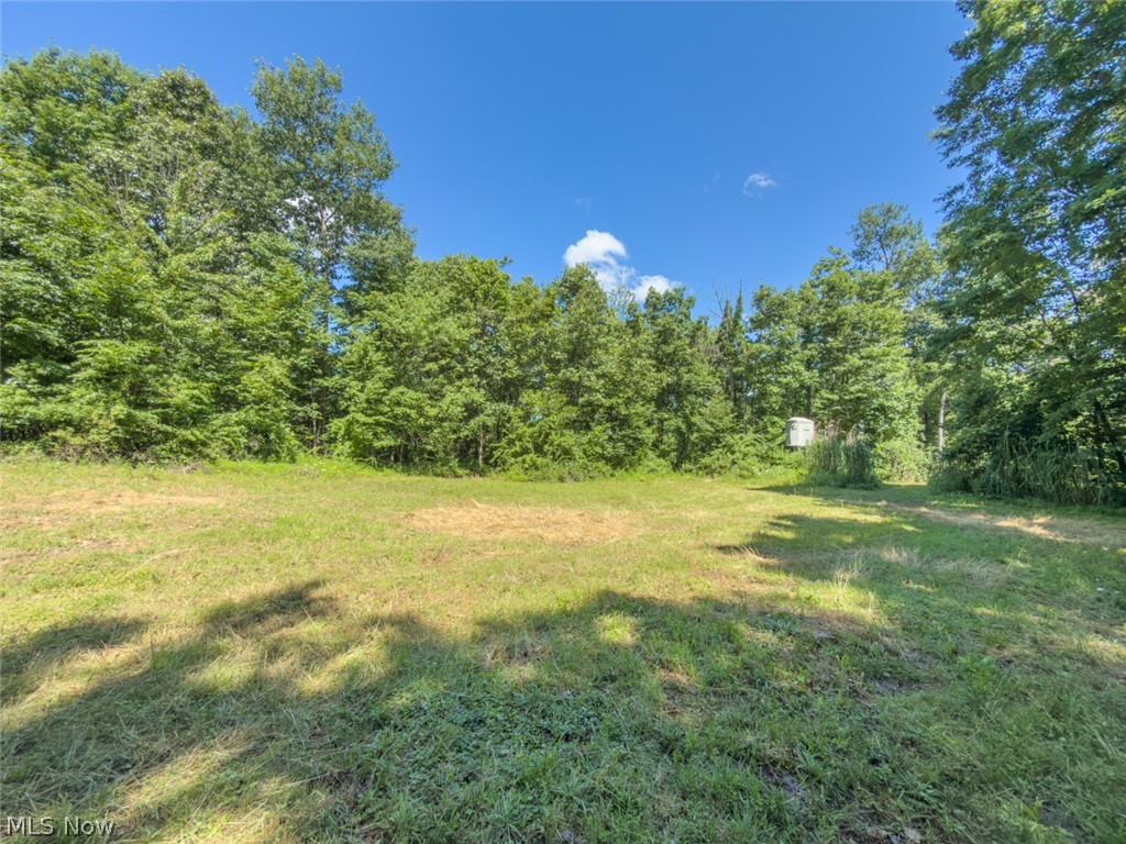 6985 Brush Run Road Cambridge, OH 43725 - Photo 30 of 50