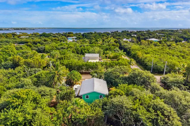 a view of a garden with an outdoor space