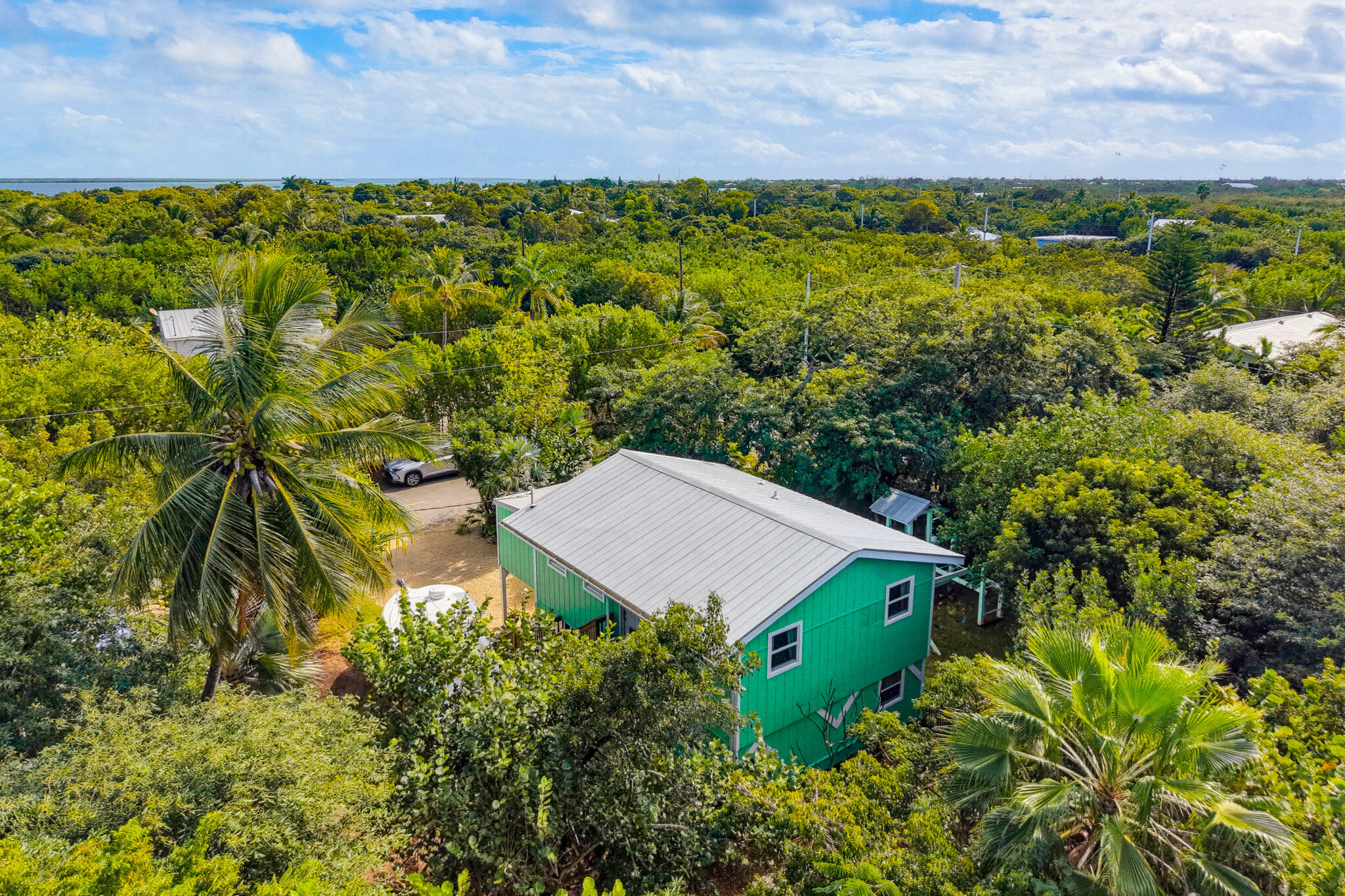 1258 Division Street Big Pine Key, FL 33043 - Photo 12 of 79 a view of a big yard with plants and large trees