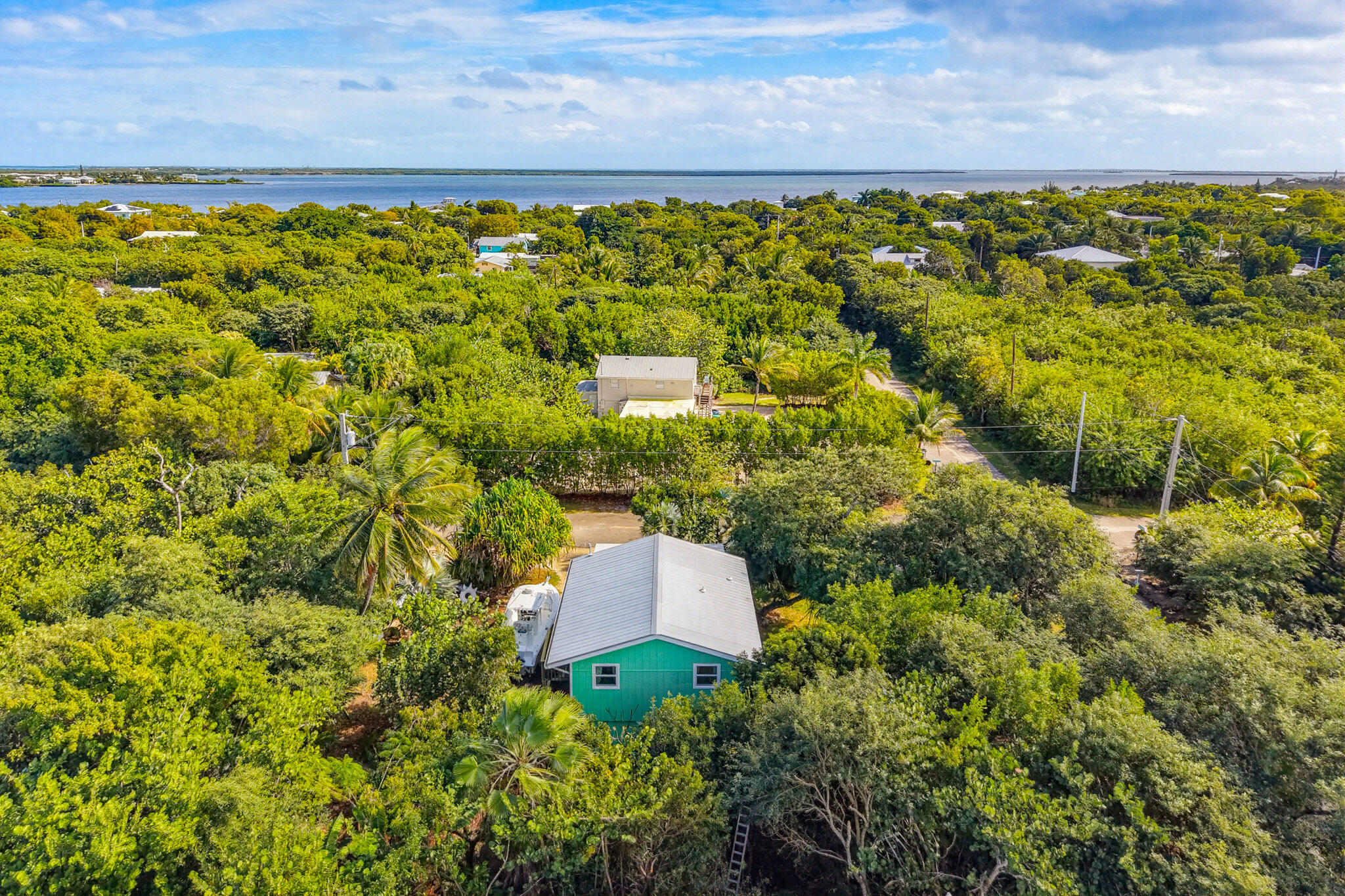 1258 Division Street Big Pine Key, FL 33043 - Photo 16 of 71 a view of a yard with plants and large trees