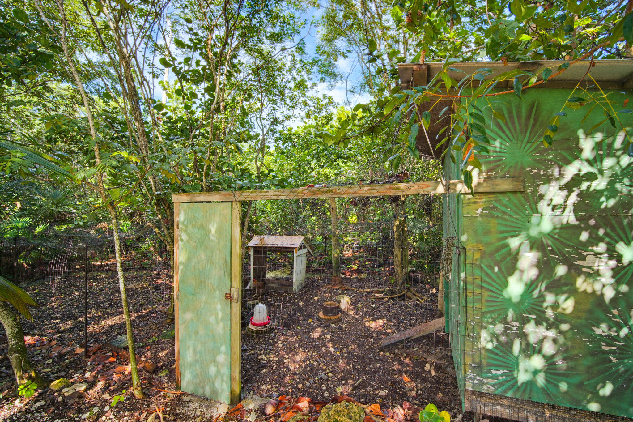 1258 Division Street Big Pine Key, FL 33043 - Photo 56 of 71