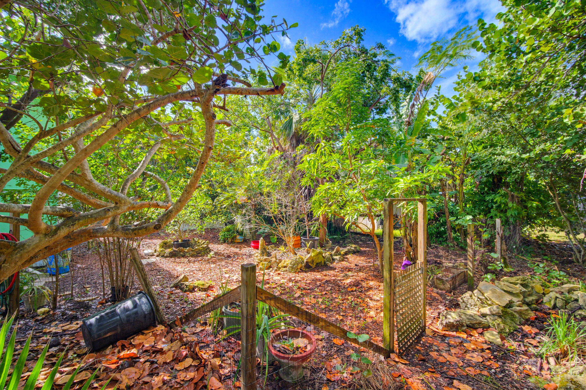 1258 Division Street Big Pine Key, FL 33043 - Photo 58 of 71 a view of yard with tree