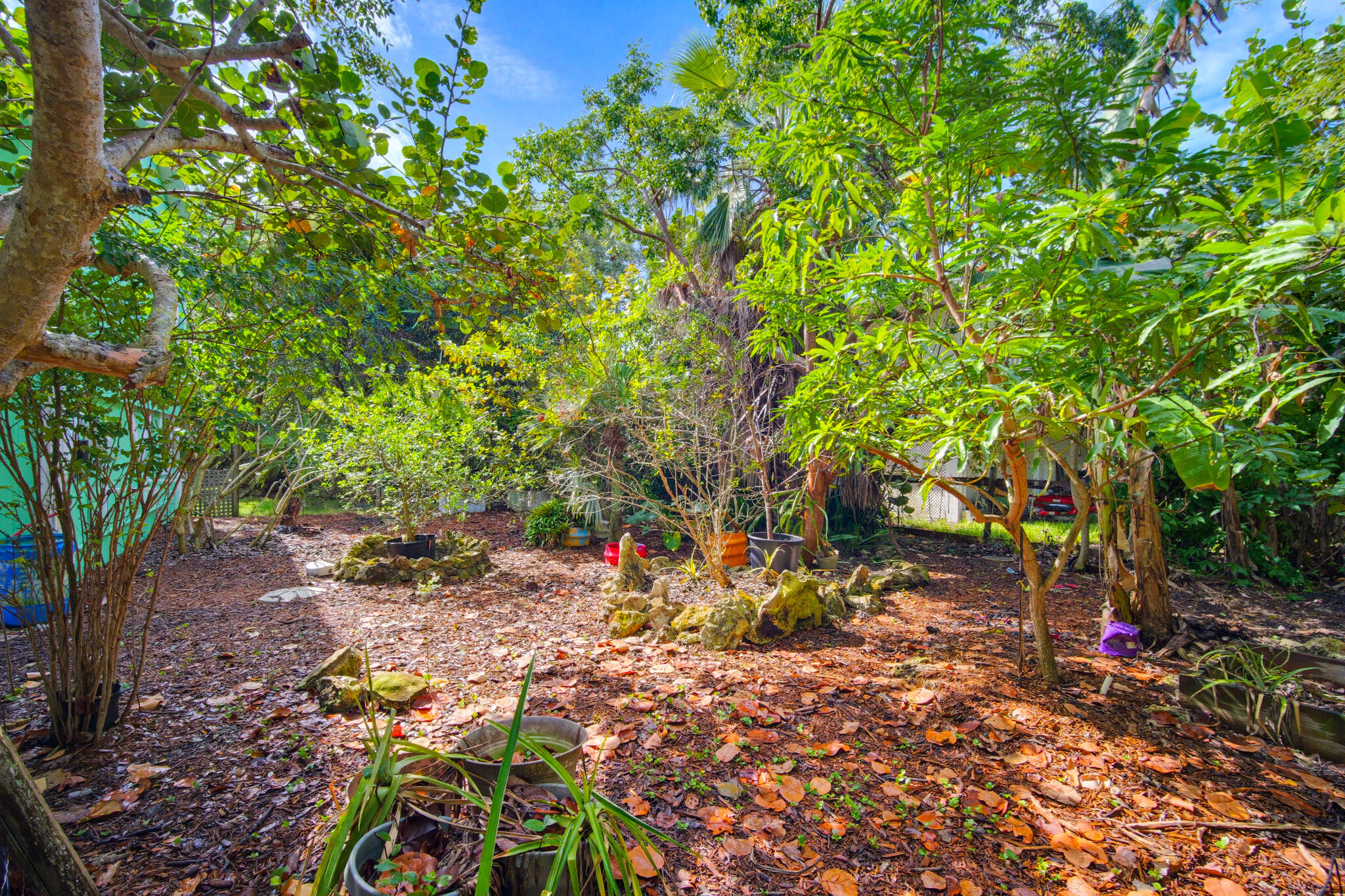 1258 Division Street Big Pine Key, FL 33043 - Photo 59 of 71 a backyard of a house with lots of green space