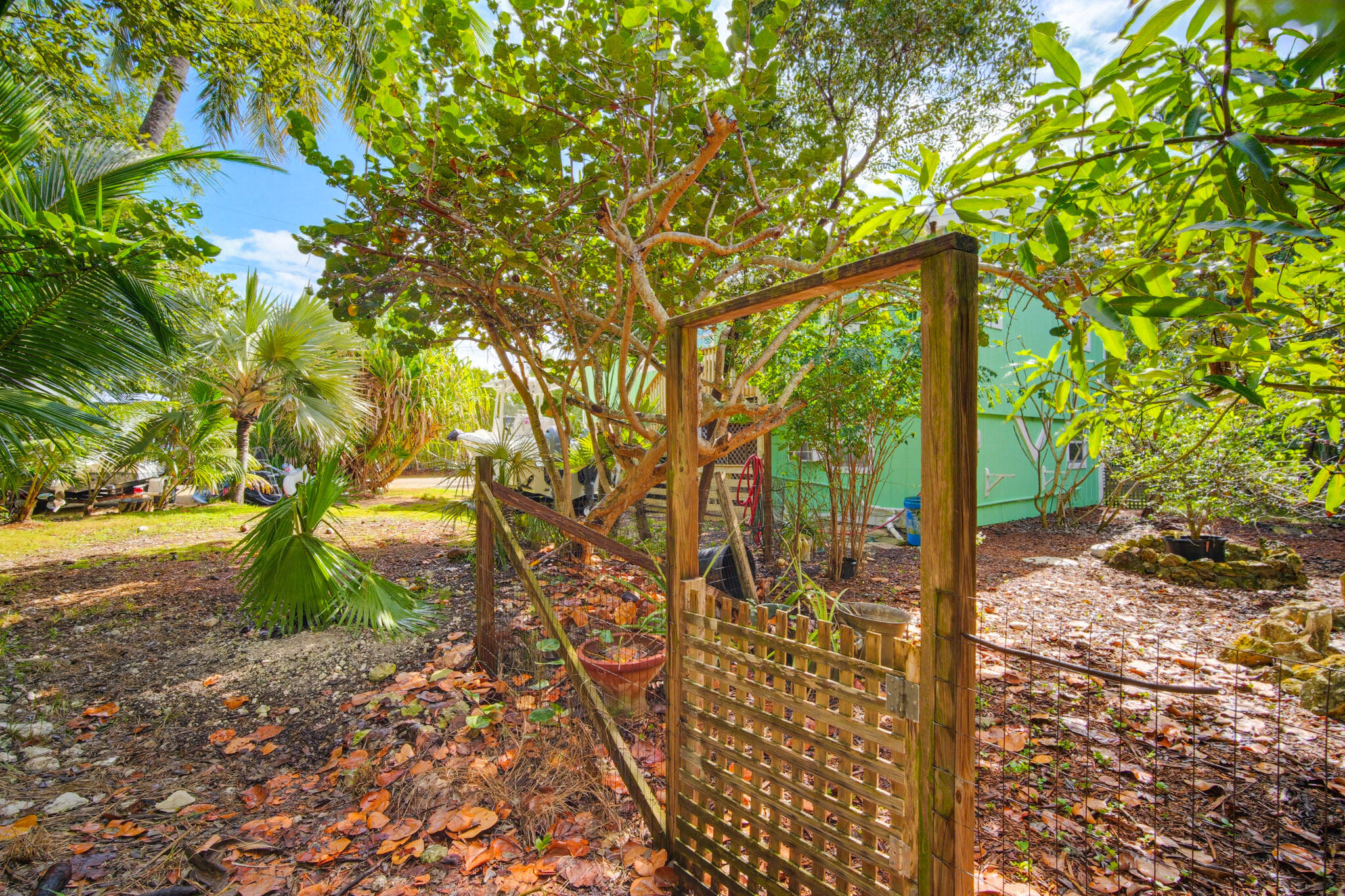 1258 Division Street Big Pine Key, FL 33043 - Photo 60 of 71 a view of a yard with plants and tree