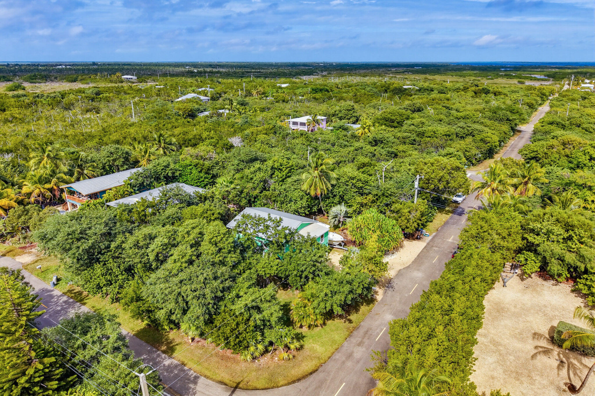 1258 Division Street Big Pine Key, FL 33043 - Photo 6 of 71 a view of a yard