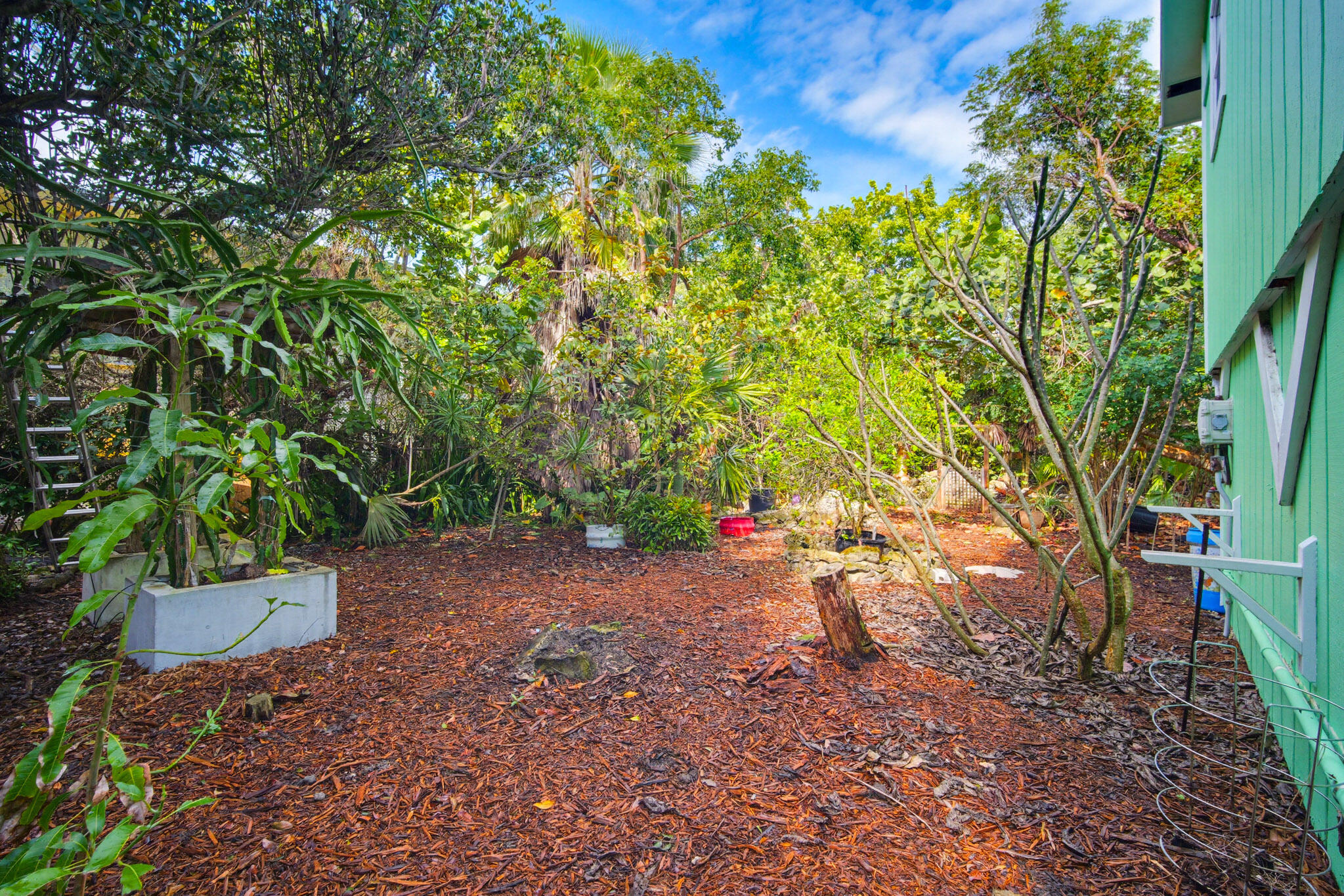 1258 Division Street Big Pine Key, FL 33043 - Photo 66 of 71 a backyard of a house with lots of green space