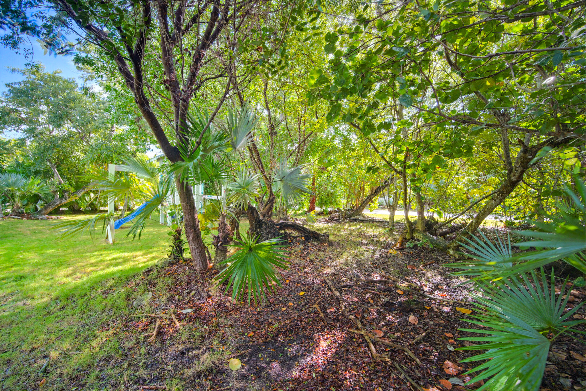 1258 Division Street Big Pine Key, FL 33043 - Photo 68 of 71 a backyard of a house with lots of green space
