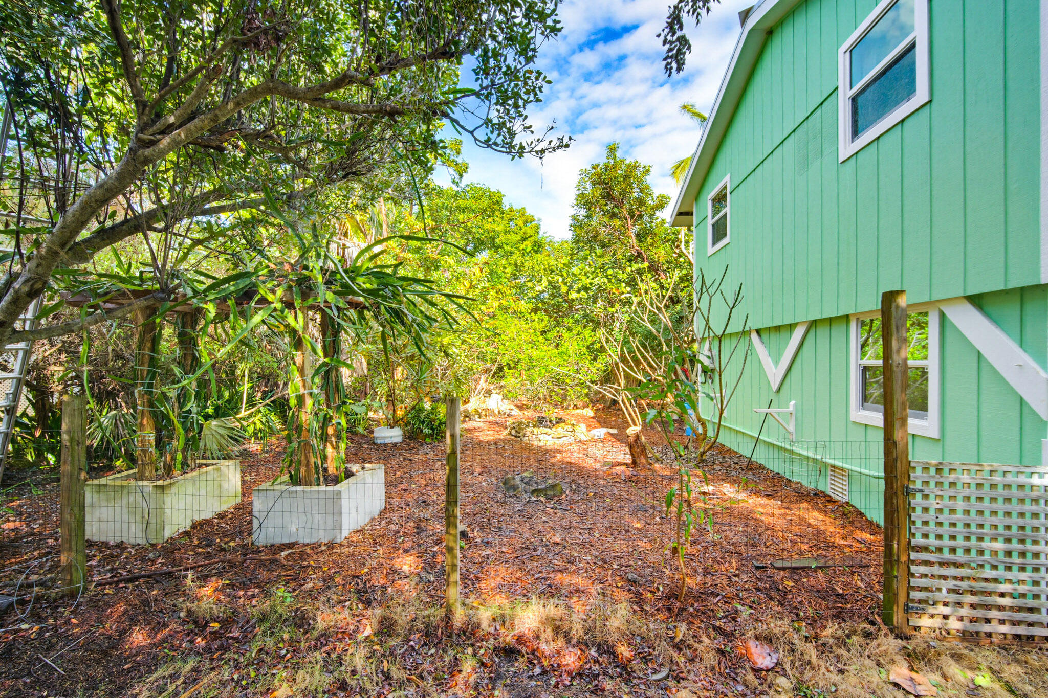 1258 Division Street Big Pine Key, FL 33043 - Photo 69 of 71 a view of a backyard
