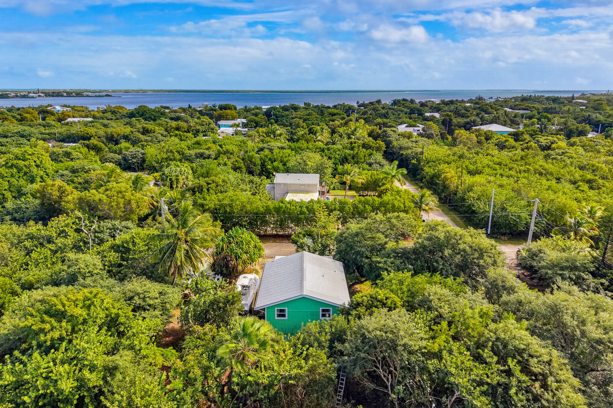 1258 Division Street Big Pine Key, FL 33043 - Photo 8 of 71 a view of a garden with an outdoor space