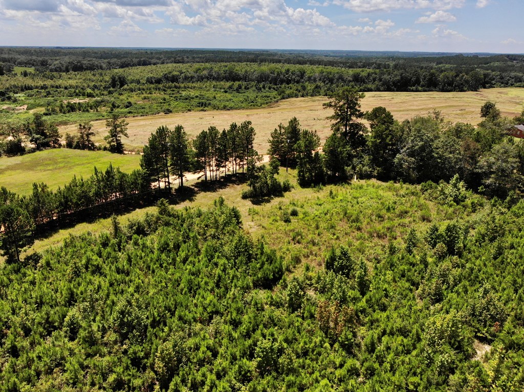 5-acres Old Elba Road Coffee Springs, AL 36318 - Photo 10 of 18