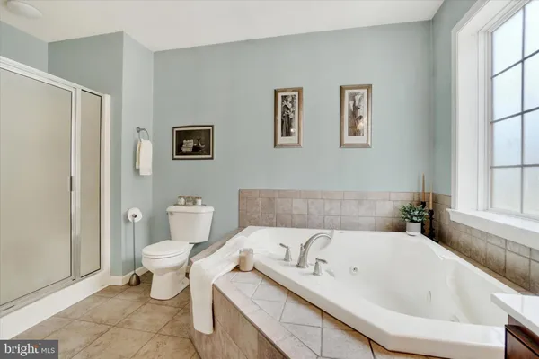 a bathroom with a toilet and a bathtub