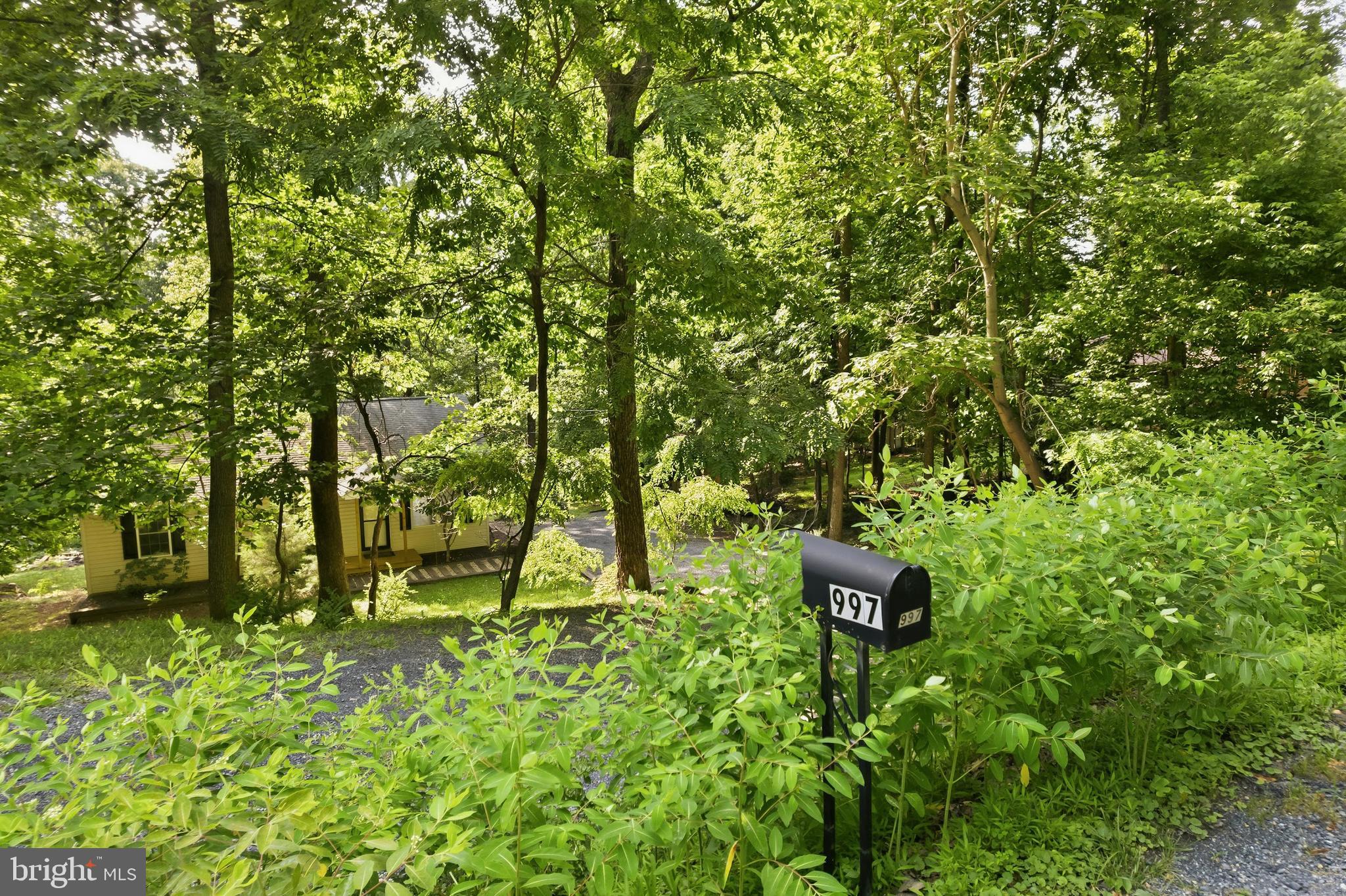 997 Wilderness Road Linden, VA 22642 - Photo 50 of 61 Mail box